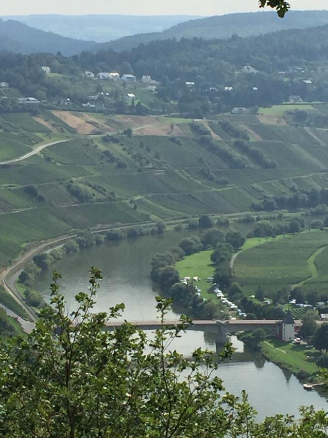 Weingut & Gaestehaus Edwin Hoffmann Trittenheim Exterior photo